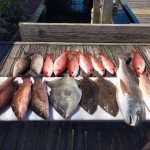 fishing trip in pensacola fl