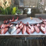 charter fishing pensacola fl