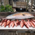 fishing charter in pensacola fl