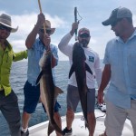 pensacola florida bay fishing