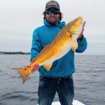 fishing charter pensacola fl
