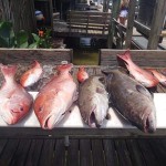 fishing in pensacola fl