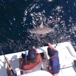 charter boat fishing
