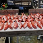 pensacola charter boat fishing