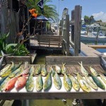 pensacola inshore fishing