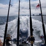 offshore fishing trips